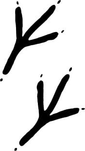 les super animaux (jeu) (inscription)