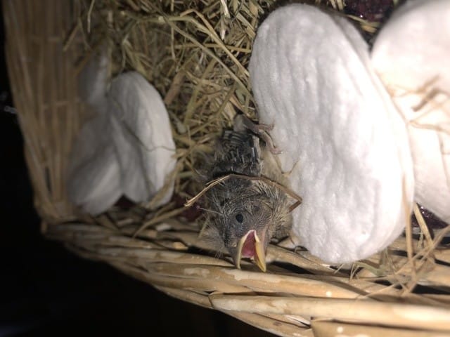 veuillez m’aider s’il vous plaît