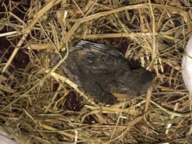 veuillez m’aidez s’il vous plaît