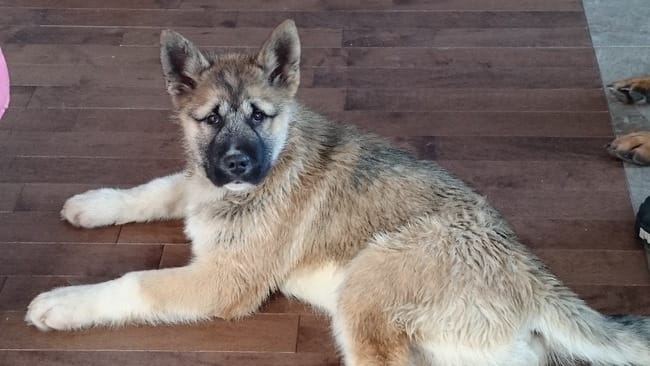 Mon petit nouveau!! 