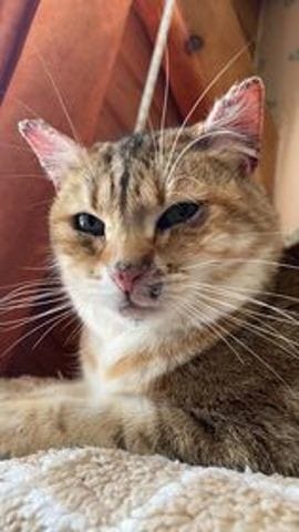 Ohio problème de peau