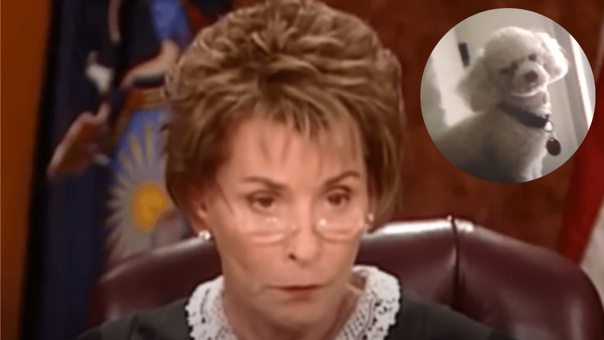 Woman Claims Stolen Dog Is Hers Judge Judy Settles Debate In Astonishing Scene Woman Claims Stolen Dog Is Hers Judge Judy Settles Debate In Astonishing Scene
