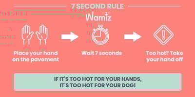 rule for heat pavement for dogs