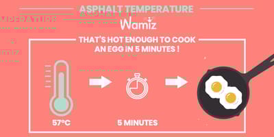 cook an egg on the pavement