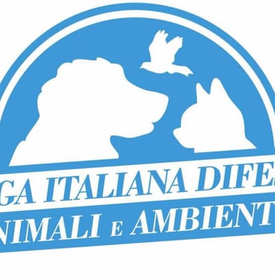 Logo dell'associazione Leidaa