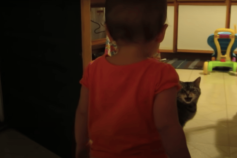 nina hablando con gato