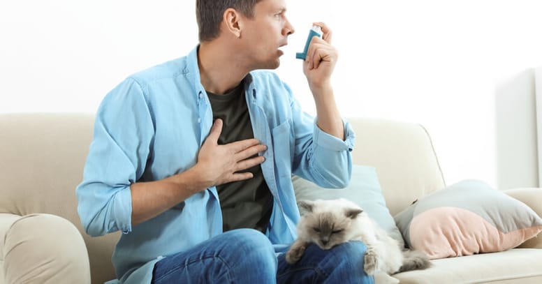 hombre alergia gato
