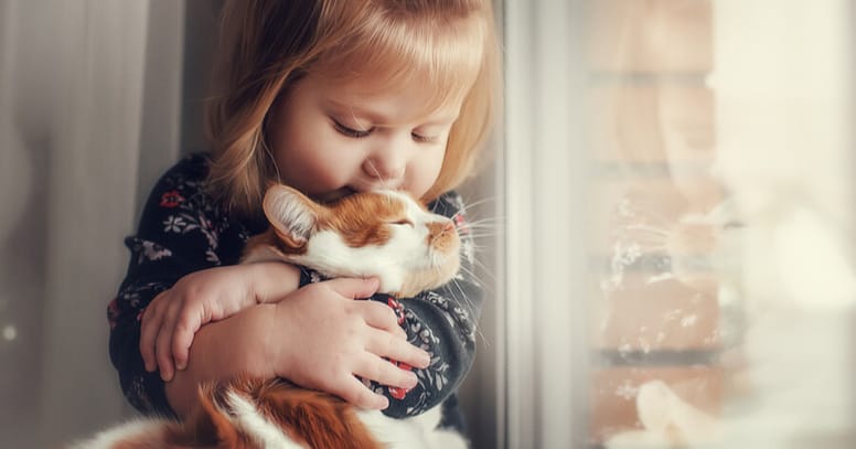 nina alergia gato macho