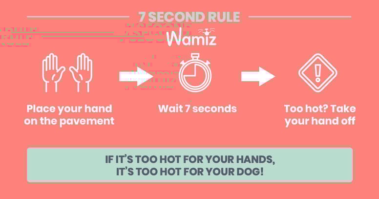 rule for heat pavement for dogs