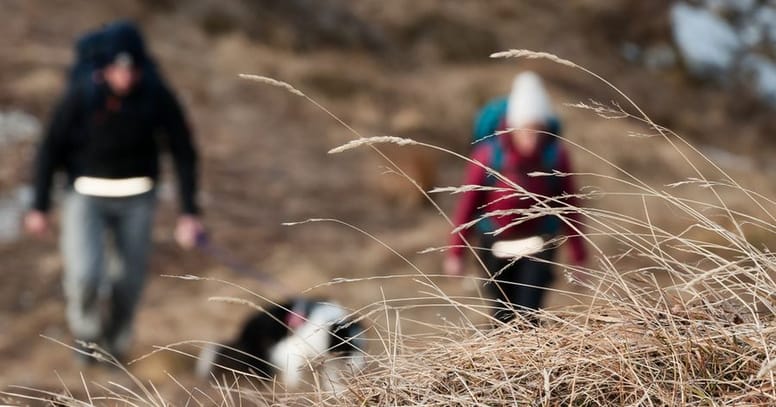 Grannen beim Gassigehen mit Hund
