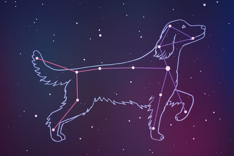 Sternenbild großer Hund am Himmel