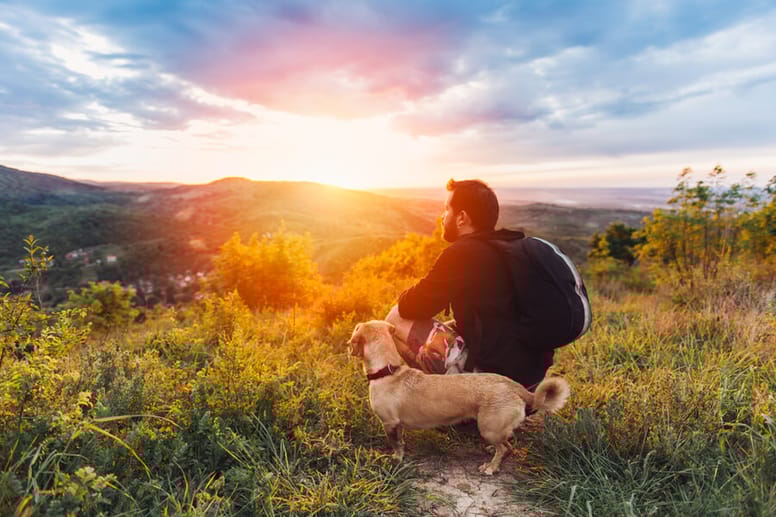 perro y hombre contemplando el atardecer camino de santiago galicia
