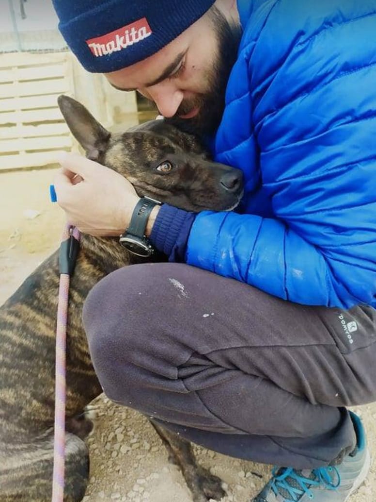 voluntario abraza a perro