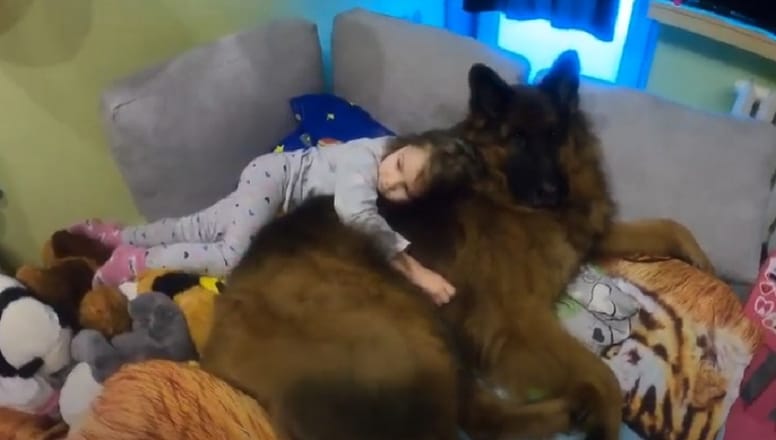 niña abraza a un pastor aleman en su cama