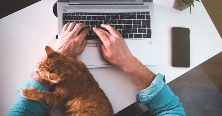 por que mi gato quiere estar siempre conmigo trabajando