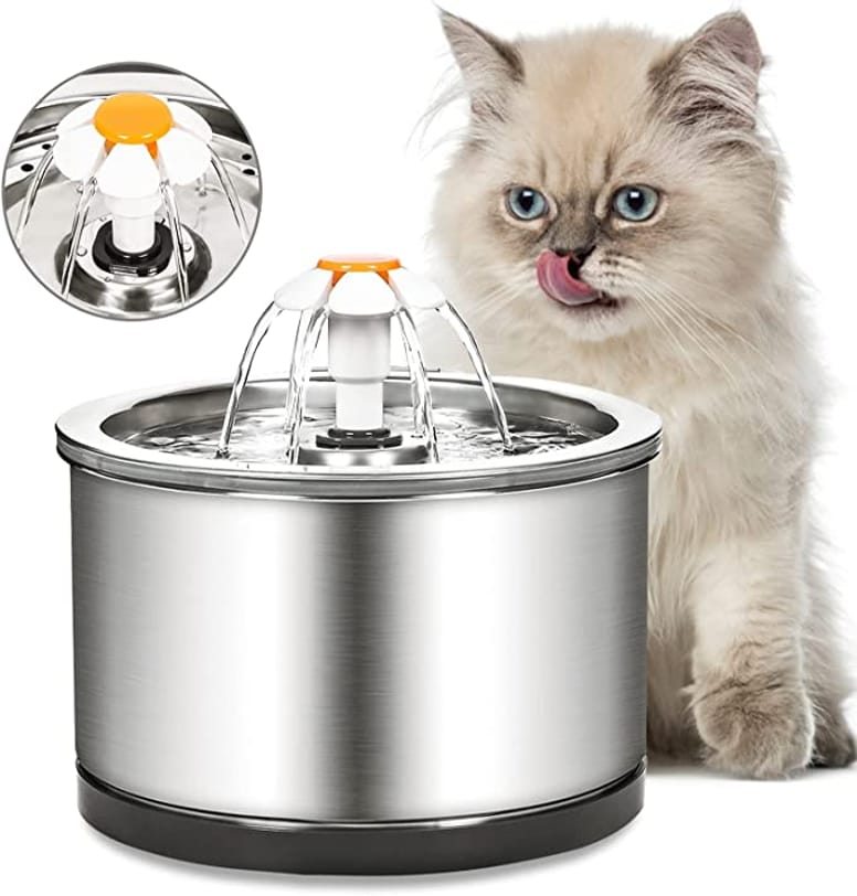 fuente para gatos de amazon de acero inoxidable