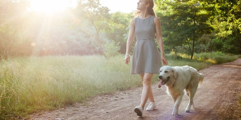 perro paseando con su dueña campo