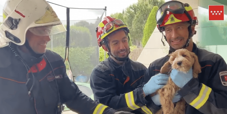 bomberos rescate cachorro madrid