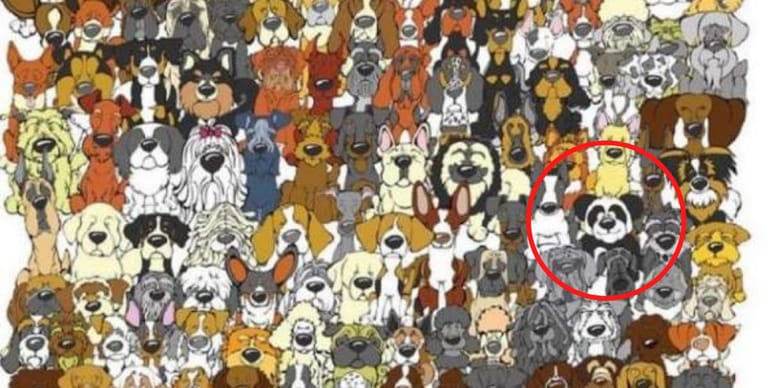 solucion juego del impostor perros