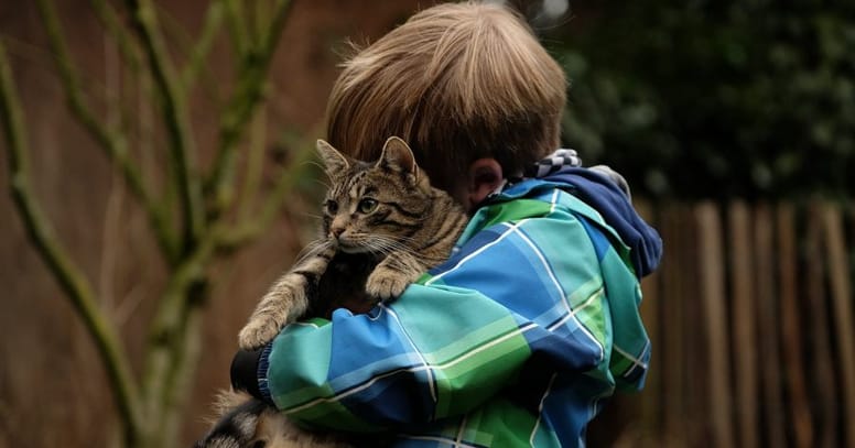 niño abraza gato