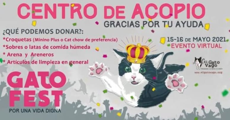 gatofest