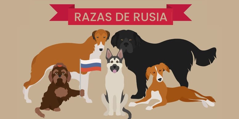 nombres para perros razas rusas