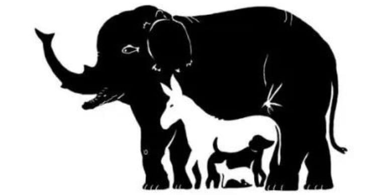 reto visual animales