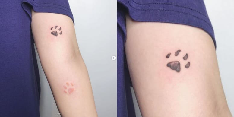 tatuajes de huellas de gato
