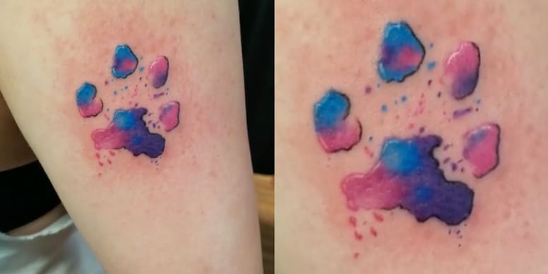 tatuajes de huella de gato