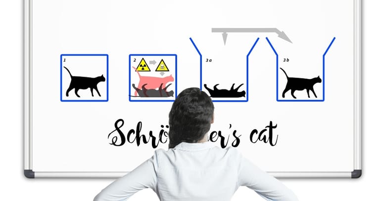 gato de schrödinger