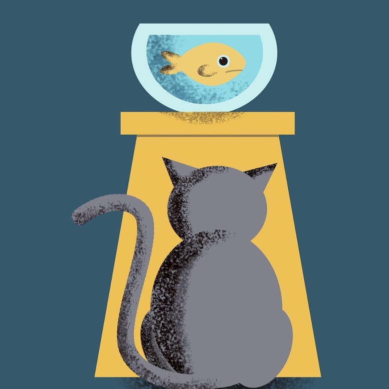 gato ves pescado
