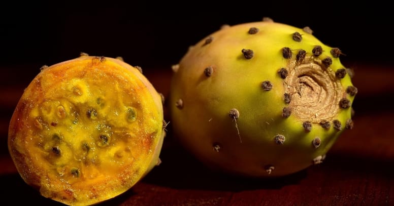 tunas