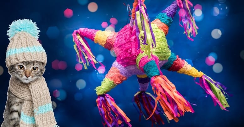 gato nombres mexico 2020
