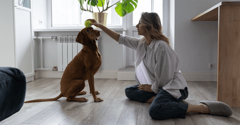 Vrouw speelt met balletje met hond
