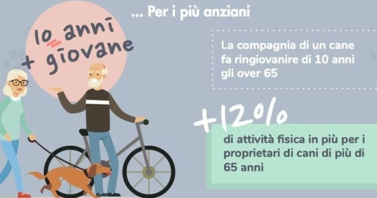 benefici-degli-animali-per-gli-anziani