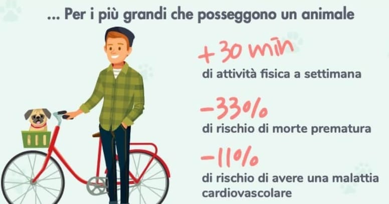 Infografica sui benefici degli animali da compagnia sugli adulti