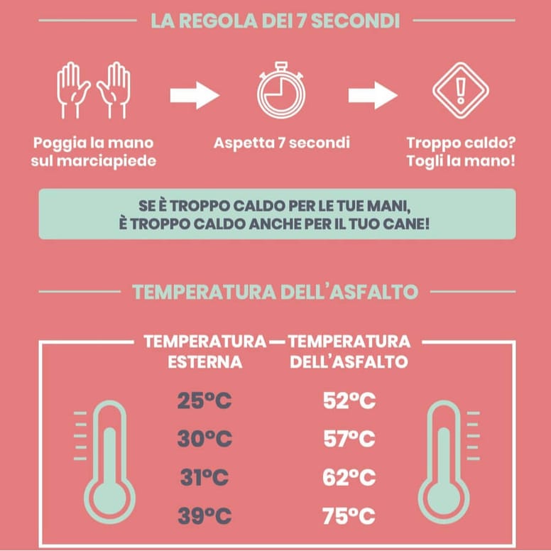 card asfalto