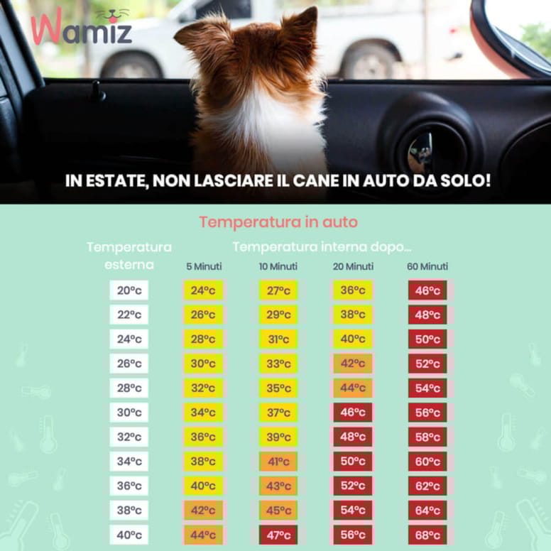tabella esplicativa delle temperature in auto al sole