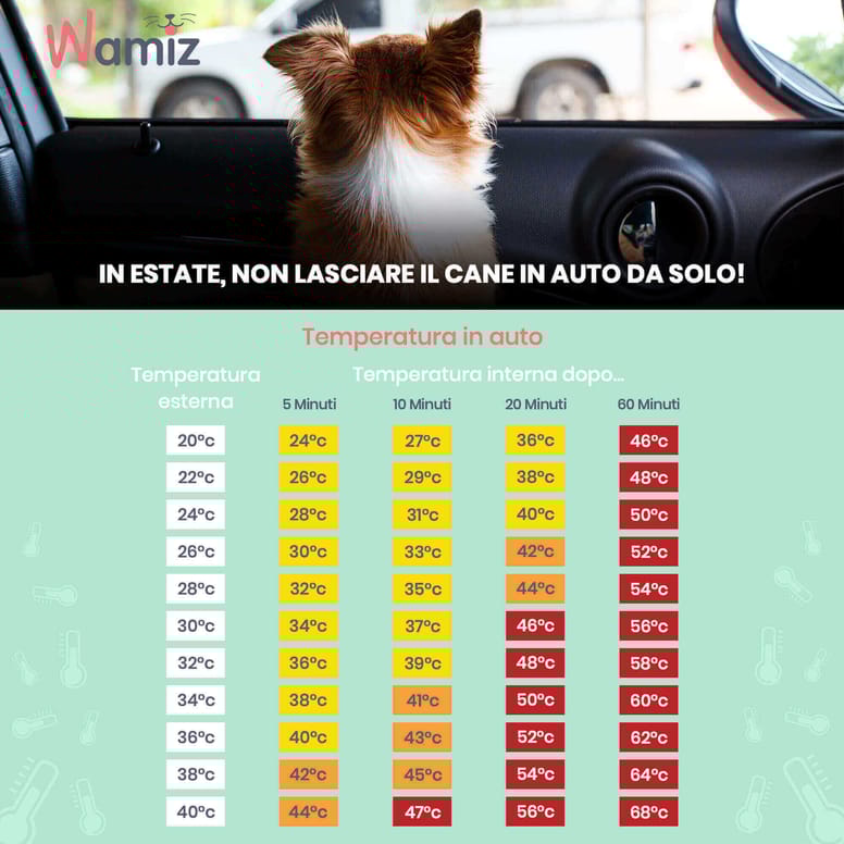 temperatura di un'auto sotto il sole