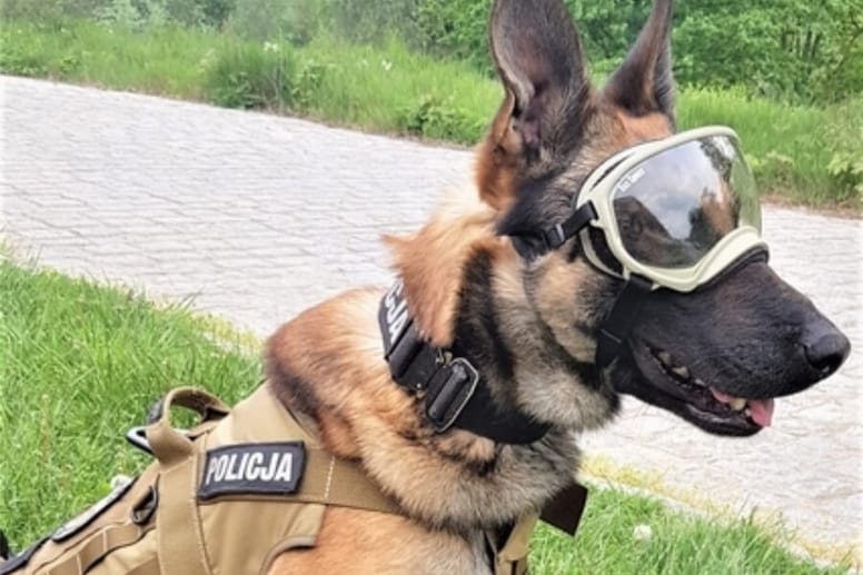 Lonar specjalizuje się w poszukiwaniu osób zaginionych