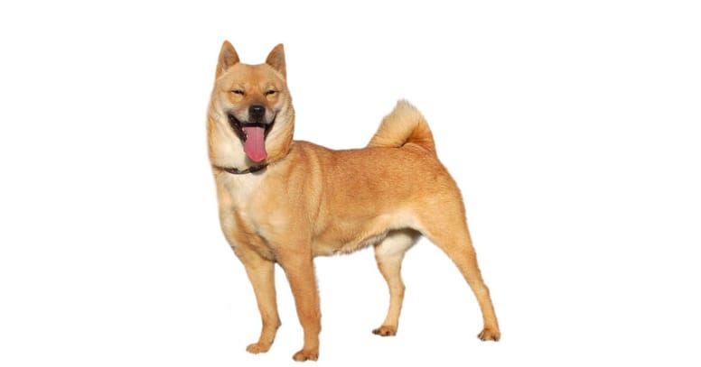 hokkaido