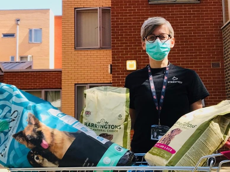 wolontariusz street vet