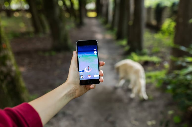 cane con collare gps e telefono cellulare