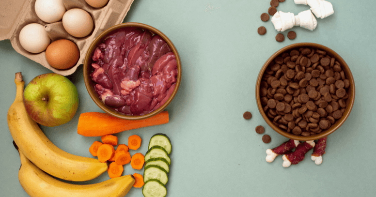 Fruit past in het dieet van een hond