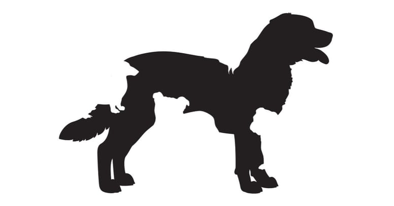cani stilizzati neri e bianchi