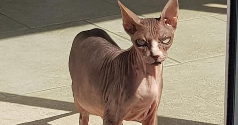 djoon regresa despues de 9 años