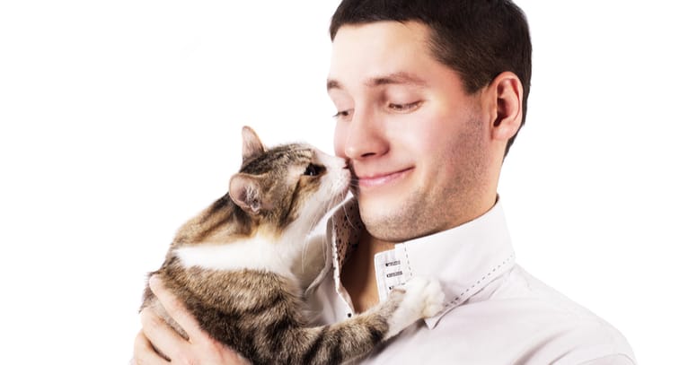 gato con su dueño