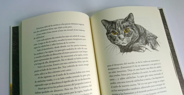 gatos ilustres doris lessing