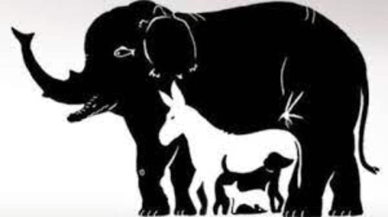 juego visual animales