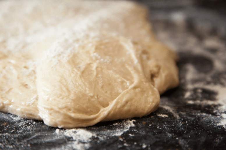 foods which are poisonous to dogs